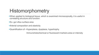 Histomorphometry
When applied to biological tissue, which is examined microscopically, it is useful in
correlating structure and function.
Ex- gut villus surface area
Arterial composition and elasticity
Quantification of –Hyperplasia, dysplasia, hypertrophy
Immunohistochemical or fluorescent markers-area or intensity
 