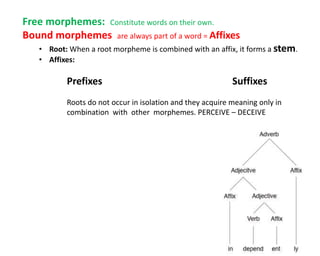 Free morphemes: Constitute words on their own.
Bound morphemes are always part of a word = Affixes
• Root: When a root morpheme is combined with an affix, it forms a stem.
• Affixes:
Prefixes Suffixes
Roots do not occur in isolation and they acquire meaning only in
combination with other morphemes. PERCEIVE – DECEIVE
 