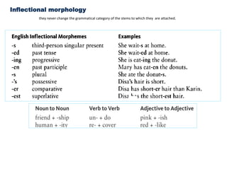 Inflectional morphology
they never change the grammatical category of the stems to which they are attached.
 