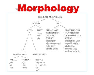 Morphonoly