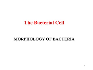 The Bacterial Cell


MORPHOLOGY OF BACTERIA




                         1
 