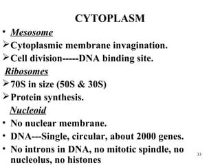 CYTOPLASM
• Mesosome
 Cytoplasmic membrane invagination.
 Cell division-----DNA binding site.
 Ribosomes
 70S in size (50S & 30S)
 Protein synthesis.
  Nucleoid
• No nuclear membrane.
• DNA---Single, circular, about 2000 genes.
• No introns in DNA, no mitotic spindle, no   33
  nucleolus, no histones
 
