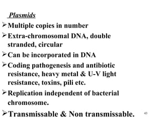 Plasmids
 Multiple copies in number
 Extra-chromosomal DNA, double
  stranded, circular
 Can be incorporated in DNA
 Coding pathogenesis and antibiotic
  resistance, heavy metal & U-V light
  resistance, toxins, pili etc.
 Replication independent of bacterial
  chromosome.
Transmissable & Non transmissable.      43
 