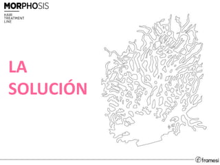 LA
SOLUCIÓN
 