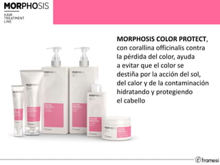 MORPHOSIS COLOR PROTECT,
con corallina officinalis contra
la pérdida del color, ayuda
a evitar que el color se
destiña por la acción del sol,
del calor y de la contaminación
hidratando y protegiendo
el cabello
 