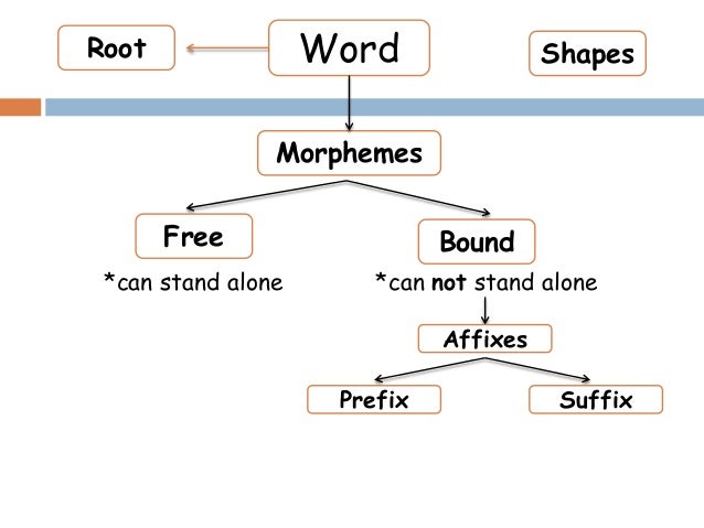 Morphology Word and Its Parts (Root and Afixes)