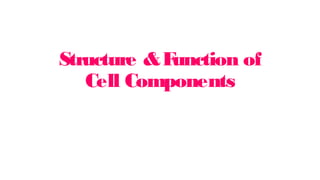 Structure &F
unction of
Cell Components
 