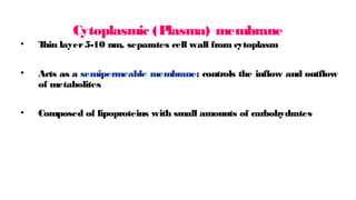 Cytoplasmic (P
lasma) membrane
• T
hin layer5-10 nm, separates cell wall from cytoplasm
• Acts as a semipermeable membrane: controls the inflow and outflow
of metabolites
• Composed of lipoproteins with small amounts of carbohydrates
 