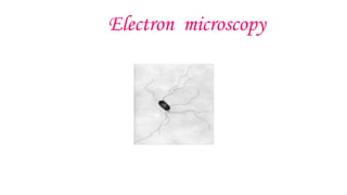 Electron microscopy
 