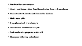 • F
ine hairlike appendages
• Shorterand thinnerthan flagella projecting from cell membrane
• P
resent on both motile and non motile bacteria
• M
ade up of pilin
• 8 morphological types known
• Classified as common orsex pili
• Conferadhesive property to the cell
• Disappearfollowing subcultures
 