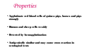 Properties
• Agglutinate red blood cells of guinea pigs, horses and pigs
strongly
• H
uman and sheep cells weakly
• Detected by hemagglutination
• Antigenically similarand may cause cross reaction in
serological tests
 