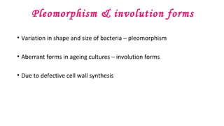 Pleomorphism & involution forms
• Variation in shape and size of bacteria – pleomorphism
• Aberrant forms in ageing cultures – involution forms
• Due to defective cell wall synthesis
 
