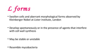 L forms
• Swollen cells and aberrant morphological forms observed by
Kleinberger Nobel at Lister institute, London
• Develop spontaneously or in the presence of agents that interfere
with cell wall synthesis
• May be stable or unstable
• Resemble mycobacteria
 