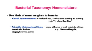 Bacterial Taxonomy: Nomenclature
• T
wo kinds of name are given to bacteria
• Casual /common name – forlocal use, varies from country to country
e.g. “typhoid bacillus”
• Scientific /International Name – same all overworld, consists of two
words (in Italics) e.g. Salm
onellaty
phi,
Staphy
lococcus aureus
 