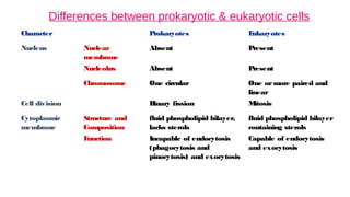 Differences between prokaryotic & eukaryotic cells
Character Prokaryotes E
ukaryotes
Nucleus Nuclear
membrane
Absent Present
Nucleolus Absent Present
Chromosome One circular One ormore paired and
linear
Cell division B
inary fission M
itosis
Cytoplasmic
membrane
Structure and
Composition
fluid phospholipid bilayer,
lacks sterols
fluid phospholipid bilayer
containing sterols
F
unction Incapable of endocytosis
(phagocytosis and
pinocytosis) and exocytosis
Capable of endocytosis
and exocytosis
 