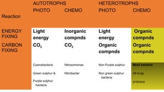 Reaction
AUTOTROPHS HETEROTROPHS
PHOTO CHEMO PHOTO CHEMO
ENERGY
FIXING
Light
energy
Inorganic
compnds
Light
energy
Organic
compnds
CARBON
FIXING
CO2 CO2 Organic
compnds
Organic
compnds
Cyanobacteria
Green sulphur &
Purple sulphur
bacteria
Nitrosomonas
Nitrobacter
Non Purple sulphur
Non green sulphur
bacteria
Most bacteria
All fungi
protozoa
 