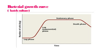B
acterial growth curve
( batch culture)
 