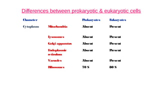 Differences between prokaryotic & eukaryotic cells
Character Prokaryotes E
ukaryotes
Cytoplasm M
itochondria Absent P
resent
L
ysosomes Absent P
resent
Golgi apparatus Absent P
resent
E
ndoplasmic
reticulum
Absent P
resent
Vacuoles Absent P
resent
Ribosomes 70 S 80 S
 