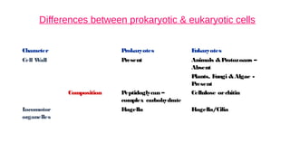 Differences between prokaryotic & eukaryotic cells
Character Prokaryotes E
ukaryotes
Cell W
all Present Animals &P
rotozoans –
Absent
P
lants, F
ungi &Algae -
P
resent
Composition Peptidoglycan –
complex carbohydrate
Cellulose orchitin
L
ocomotor
organelles
F
lagella F
lagella/Cilia
 