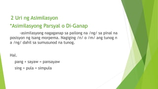 2 Uri ng Asimilasyon
*Asimilasyong Parsyal o Di-Ganap
-asimilasyong nagaganap sa pailong na /ng/ sa pinal na
posisyon ng isang morpema. Nagiging /n/ o /m/ ang tunog n
a /ng/ dahil sa sumusunod na tunog.
Hal.
pang + sayaw = pansayaw
sing + pula = simpula
 
