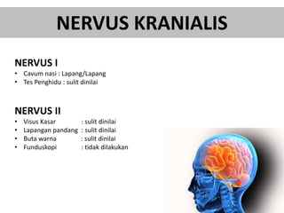 NERVUS KRANIALIS
NERVUS I
• Cavum nasi : Lapang/Lapang
• Tes Penghidu : sulit dinilai
NERVUS II
• Visus Kasar : sulit dinilai
• Lapangan pandang : sulit dinilai
• Buta warna : sulit dinilai
• Funduskopi : tidak dilakukan
 
