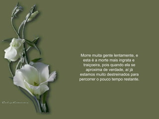 Morre muita gente lentamente, e esta é a morte mais ingrata e  traiçoeira, pois quando ela se aproxima de verdade, aí já estamos muito destreinados para percorrer o pouco tempo restante. 