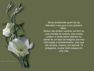 Morre lentamente quem faz da televisão o seu guru e seu parceiro diário.  Muitos não podem comprar um livro ou uma entrada de cinema, mas muitos podem, e ainda assim alienam-se diante de um tubo de imagens que traz informação e entretenimento, mas que não deveria, mesmo com apenas 14 polegadas, ocupar tanto espaço em uma vida. 