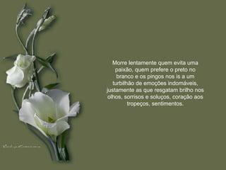 Morre lentamente quem evita uma paixão, quem prefere o preto no branco e os pingos nos is a um turbilhão de emoções indomáveis, justamente as que resgatam brilho nos olhos, sorrisos e soluços, coração aos tropeços, sentimentos. 