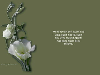 Morre lentamente quem não viaja, quem não lê, quem não ouve música, quem  não acha graça de si mesmo. 