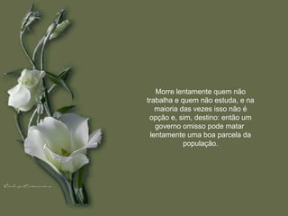 Morre lentamente quem não trabalha e quem não estuda, e na maioria das vezes isso não é opção e, sim, destino: então um governo omisso pode matar  lentamente uma boa parcela da população. 