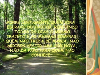 MORRE LENTAMENTE QUEM VIRA ESCRAVO DO HÁBITO, REPETINDO TODOS OS DIAS O MESMO TRAJETO E AS MESMAS COMPRAS, QUEM NÃO TROCA DE MARCA, NÃO ARRISCA VESTIR UMA COR NOVA, NÃO DA PAPO PARA QUEM NÃO CONHECE.   