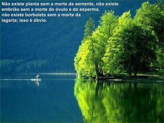 Não existe planta sem a morte da semente, não existe embrião sem a morte do óvulo e do esperma,  não existe borboleta sem a morte da  lagarta; isso é óbvio.   
