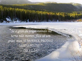 “Se o grão de trigo, caindo na
terra não morrer, fica só um
grão; mas, SE MORRER, PRODUZ
MUITO FRUTO.”
(Jo 12,24)
 