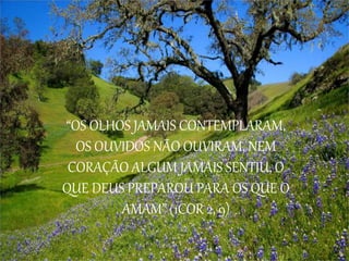 “OS OLHOS JAMAIS CONTEMPLARAM,
OS OUVIDOS NÃO OUVIRAM, NEM
CORAÇÃO ALGUM JAMAIS SENTIU, O
QUE DEUS PREPAROU PARA OS QUE O
AMAM” (1COR 2, 9)
 