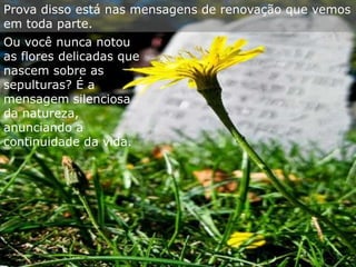 Prova disso está nas mensagens de renovação que vemos
em toda parte.
Ou você nunca notou
as flores delicadas que
nascem sobre as
sepulturas? É a
mensagem silenciosa
da natureza,
anunciando a
continuidade da vida.
 