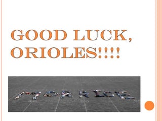 Morrice Testing Tips