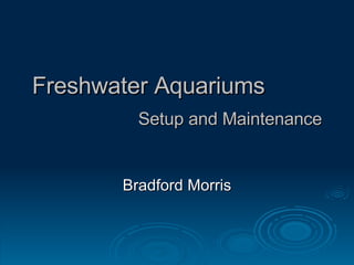 Freshwater Aquariums Setup and Maintenance Bradford Morris 