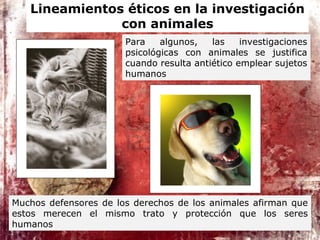 Para algunos, las investigaciones
psicológicas con animales se justifica
cuando resulta antiético emplear sujetos
humanos
Muchos defensores de los derechos de los animales afirman que
estos merecen el mismo trato y protección que los seres
humanos
Lineamientos éticos en la investigación
con animales
 