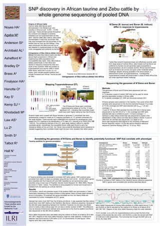SNP discovery in African taurine and Zebu cattle by whole genome sequencing of pooled DNA Noyes HA 1   Agaba M 2 Anderson SI 3 Archibald AL 3 Ashelford K 1 Bradley D 4 Brass A 6 Finalyson HA 3 Hanotte O 5 Kay S 1 Kemp SJ 1,2 Khodadadi M 6 Law AS 3 Lu Z 3 Smith S 3 Talbot R 3 Hall N 1 Acknowledgements: These studies were funded by the Wellcome Trust   1 University of Liverpool Liverpool,  UK 2 International Livestock Research Institute Nairobi  Kenya   3 Roslin Instiute University of Edinburgh, Edinburgh UK   4 Trinity College  Dublin Ireland 6 University of Nottingham Nottingham UK   6 University of Manchester Manchester UK   N’Dama ( B. taurus)  and Boran (B. indicus) differ in response to trypanosome infection N’Dama Boran Tsetse flies transmit trypanosomiasis and effectively exclude cattle from large areas of Central Africa. Zebu breeds such as Boran are preferred by farmers but are generally highly susceptible to trypanosomiasis, as are European taurine. African taurine breeds such as N’Dama can survive and grow under moderate tsetse challenge, despite carrying parasites in the blood stream; a phenomenon known as trypanotolerance.  Consequently trypanotolerant breeds still predominate in areas of West Africa that are under significant tsetse challenge  A Origins of African Cattle Taurine cattle ( Bos taurus ) were domesticated in the Middle East, and possibly in Africa as well,  6,000 – 10,000 years ago. These animals spread throughout the continent and adapted to endemic diseases such as trypanosomiasis as they went. Indicine cattle ( Bos indicus,  zebu) were domesticated in India from aurochsen that may have diverged from the aurochsen of the Middle East as much as 200-500kya. They were introduced into Africa and are not so well adapted to trypanosomiasis but they are more manageable and preferred by farmers. Introgression of  Bos indicus  alleles into Africa  Estimated  Bos indicus  (dark) and  Bos taurus  (light) proportions in African and neighbouring cattle populations from microsatellite data (right). Zebu ( Bos indicus)  alleles predominate in East Africa and decline in frequency towards the west and south of the continent. Note the pockets of trypanotolerant pure taurine cattle in forest West Africa, which are indicated by red boxes. Dots indicate sample locations and include European and African Taurine as well as Zebu. Hanotte et al Science 2002 vol. 296 336-9 ,[object Object],[object Object],[object Object],[object Object],[object Object],[object Object],[object Object],[object Object],Annotating the genomes of N’Dama and Boran to identify potentially functional  SNP that correlate with phenotype Introgression of  Bos indicus  alleles into Africa   Table 1 SNP consequences in N’Dama, Boran and Sahiwal Counts of numbers of SNP relative to the Hereford bovine reference sequence. SNP in genes were annotated with workflow described above Freeman et al 2006 Animal Genetics  37  1-9. Minor Allele Frequencies of moving 50kb windows in a 4Mb region around TLR5 and SUSD4 on Bta16 calculted by the method of  of (Rubin et al Nature 2010 464: 587–591 . Regions of low minor allele frequency might be under selection. TLR 5 (circled)  is in a QTL for trypanotolerance and is under the first of the troughs of the double dip (red circle)  and SUSD4 is under the second with MAF of 0.049 and 0.048 respectively. The horizontal line through the MAF plot is at 20.44, the mean MAF. Sequencing the genomes of N’Dama and Boran A Taverna workflow was developed to annotate SNP within genes. SNP positions were converted from UMD3 to Bta4 co-ordinates using liftOver from UCSC.  All SNP within genes were classified with the Ensembl API and SNP classified as non-synonymous were classified using a local copy of Polyphen (Nucleic Acids Research 30: 3894-3900). Results are shown in Table 1 below. The workflow is being adapted for human and mouse and is available from the authors as a virtual machine. Taverna workflow for genome annotation Regions with low minor allele frequencies that may be under selection Results The location, nature and potential impact of the putative SNPs are summarised in Table  1. Particularly interesting is the large numbers of stop gained. Many of these might represent errors in annotation, for example two genes annotated as one, but clearly these are candidates for further investigation as QTL genes.  Sahiwal had many more SNP than the N’Dama and Boran. It was expected that  Bos indicus  would have more SNP relative to the Hereford  Bos taurus  reference sequence  because of the 200,000 years separating Sahiwal from Hereford. However it is not clear why Boran which is mainly of  Bos indicus  origin did not have a similar number of SNP. This difference may be because N’Dama and Sahiwal were sequenced on the Illumina platform and Boran was sequenced on the ABI SOLiD platform. Minor allele frequencies were calculated using the method of (Rubin et al Nature 2010 464: 587–591). Regions of low minor allele frequency might be under selection. Evidence for selection was found around TLR5 within a QTL on chromosome 16 (see figure). Other regions were also under selection  Cattle Tsetse Cattle and tsetse QTL with p<0.0043 PCV Body weight Parasitaemia Hanotte et al PNAS 2003 7443-7448   Boran  (relatively susceptible) The N’Dama and Boran each contribute trypanotolerance alleles at 5 of the 10 most significant QTL, indicating that a synthetic breed could have even higher tolerance than the N’Dama. N’Dama (tolerant) N'dama males were crossed with Boran females to generate F1 individuals that were subsequently crossed to create an F2 mapping population of 177 animals composed of a few large families. These animals were challenged and monitored for parasitaemia, body weight and PCV leading to the identification of 10 major QTL (Hanotte et al PNAS 2003  100   7443-8). The confidence intervals of the QTL were large making it difficult to identify candidate genes. Interestingly the susceptible Boran cattle were found to carry the  resistance alleles at five out of ten  loci. Boran have evidently developed some resistance to disease suggesting that a synthetic breed might be even more resistant than either parent. Mapping Trypanotolerance QTL Consequence Boran N'Dama Sahiwal Total SNP mapped to UMD3.0 11,458,009 11,112,844 21,960,387 SNP lifted over to Bta4 10,799,611 9,847,097 19,789,571 Within Exon 111,754 123,605 222,731 Annotated by Ensembl API STOP_LOST  7 23 25 STOP_GAINED 179 840 1,197 SYNONYMOUS_CODING 33,916 30,909 57,073 NON_SYNONYMOUS_CODING 20,013 27,751 45,237 3PRIME_UTR 16,606 17,117 31,770 5PRIME_UTR 2,557 3,880 7,227 UPSTREAM 4,120 5,042 9,477 DOWNSTREAM 6,412 7,541 14,005 INTRONIC  24,249 26,268 49,228 INTERGENIC  58 73 139 SPLICE_SITE  1,537 2026 3,353 WITHIN_NON_CODING_GENE 2,099 2126 3,960 WITHIN_MATURE_miRNA 1 9 40 Annotation of non-synonymous SNP by Polyphen ANNOTATED BY POLYPHEN 17,797 26,466 40,060 BENIGN 13,429 14,161 24,619 POSSIBLY DAMAGING 1,686 3,552 5,388 PROBABLY DAMAGING 1,931 5,908 8,176 