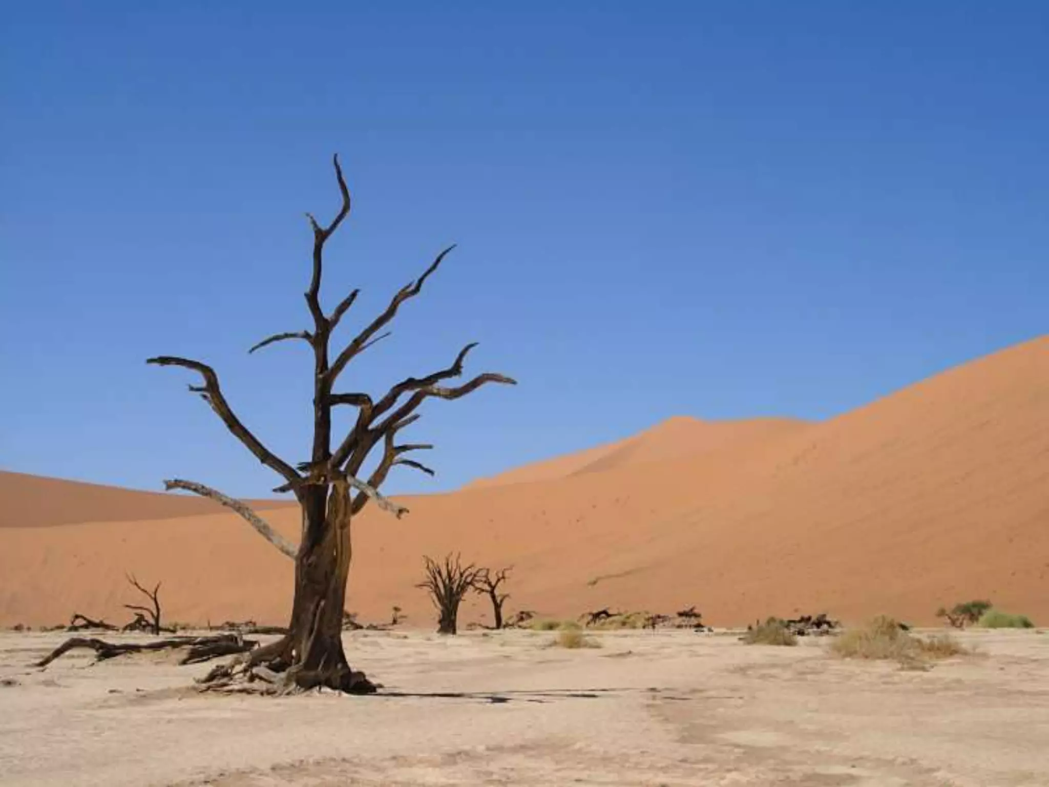 Carrots and Sticks Don't Work PPT