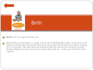 Birth  is the first stage of the life cycle.    Before birth, a person begins as a single cell, the tiniest building block of life. As the human cells duplicate and specialize into specific body parts, they prepare for the birth of an infant, weighing five to ten pounds.  This takes about 40 weeks from the time that the first cell starts growing. Newborn babies have more bones in their bodies than adults do - as they grow their bones fuse together. Birth 