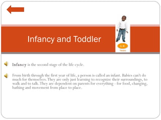 Infancy  is the second stage of the life cycle.    From birth through the first year of life, a person is called an infant. Babies can't do much for themselves. They are only just learning to recognize their surroundings, to walk and to talk. They are dependent on parents for everything - for food, changing, bathing and movement from place to place. Infancy and Toddler 