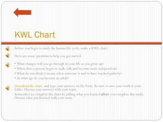 KWL Chart Before you begin to study the human life cycle, make a KWL chart. Here are some questions to help you get started. •  What changes will you go through in your life as you grow up? •  When does a person begin to walk, talk and become more independent?  •  What do you think it means when someone is said to have reached puberty? •  At what age do you become an adult? Download the chart   and type your answers on the form. Be sure to save your work in your folder. Discuss your answers with your team. Remember to complete the chart by adding what you learned  after  you complete this study. Discuss what you learned with your team. 