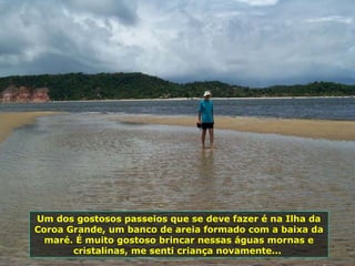 Um dos gostosos passeios que se deve fazer é na Ilha da Coroa Grande, um banco de areia formado com a baixa da maré. É muito gostoso brincar nessas águas mornas e cristalinas, me senti criança novamente...  