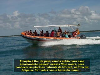 Emoção à flor da pele, vamos então para esse emocionante passeio nesses  flexs boats , para conhecer as piscinas naturais de Moreré, na Ilha de Boipeba, formadas com a baixa da maré...  