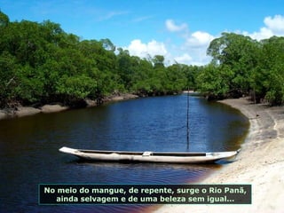 No meio do mangue, de repente, surge o Rio Panã, ainda selvagem e de uma beleza sem igual... 