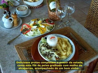 Deliciosos pratos completam o prazer da estada, como este filé de peixe grelhado com molho de alcaparras, acompanhado de um bom vinho... 