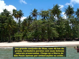Um grande conjunto de ilhas, com 40 km de praias, verdadeiro paraíso com suas belezas naturais preservadas. Chega-se a Morro de São Paulo apenas por embarcações ou avião...  