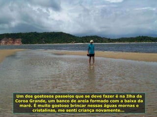 Um dos gostosos passeios que se deve fazer é na Ilha da Coroa Grande, um banco de areia formado com a baixa da maré. É muito gostoso brincar nessas águas mornas e cristalinas, me senti criança novamente...  