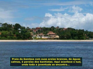 Praia da Gamboa com suas areias brancas, de águas calmas, é paraíso dos banhistas. Aqui acontece o lual, onde toda a juventude se encontra...  